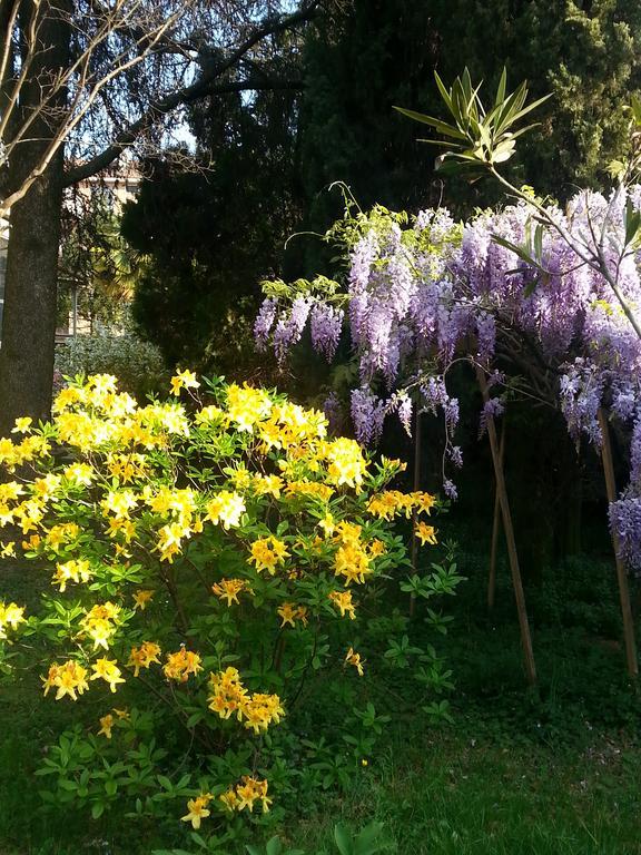 B&B Gloria Gallarate Buitenkant foto