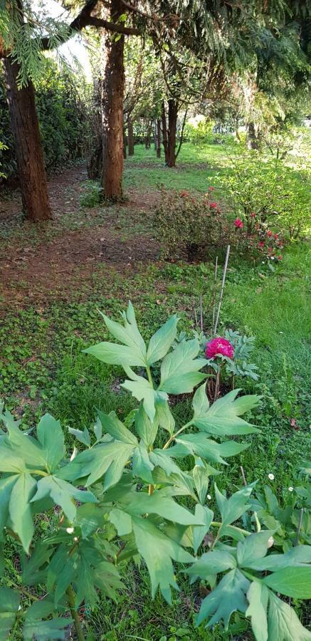 B&B Gloria Gallarate Buitenkant foto